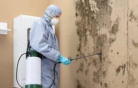 Best Air Quality Testing for Mold Spores  in St John, MO